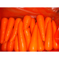 Конкурентоспособной и хорошее качество свежей моркови (80-150г)